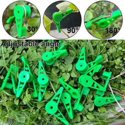 360-stopinjsko nastavljive objemke za treniranje rastlin grass color