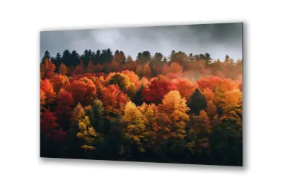 Slika na steklu gozdna jesenska narava okrasna slika 90x60 cm