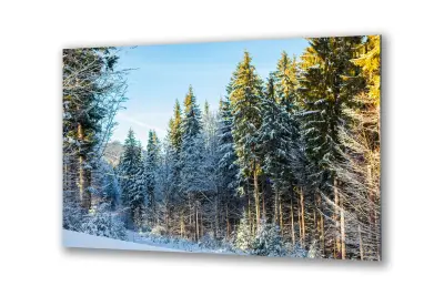 Slika na steklu narava zimskega borovega gozda okrasna slika 36x23 cm