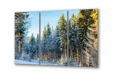 Slika na steklu narava zimskega borovega gozda okrasna slika 150x95 cm
