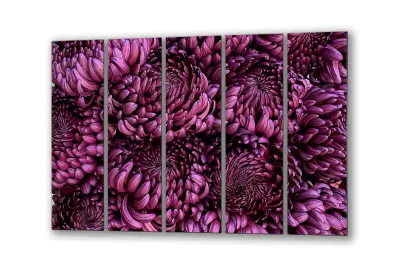 Slika na steklu astre cvetje roza astra okrasna slika 200x110 cm