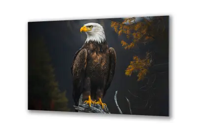 Slika na steklu orel na črnem ozadju ptica okrasna slika 130x83 cm