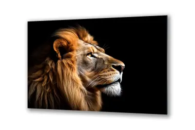 Slika na steklu kralj lev na črnem ozadju živali okrasna slika 130x83 cm