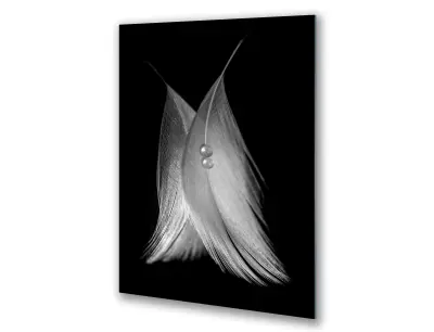 Slika na steklu perje biserov črno-belo čutno okrasna slika 60x90 cm