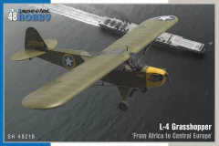 L-4 Grasshopper ‘From Africa to Central Europe’