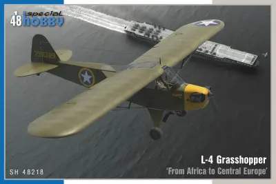 L-4 Grasshopper ‘From Africa to Central Europe’