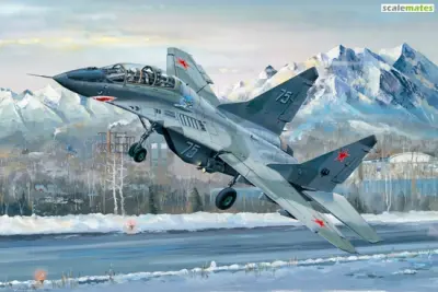 Russian MiG-29 UB Fulcrum