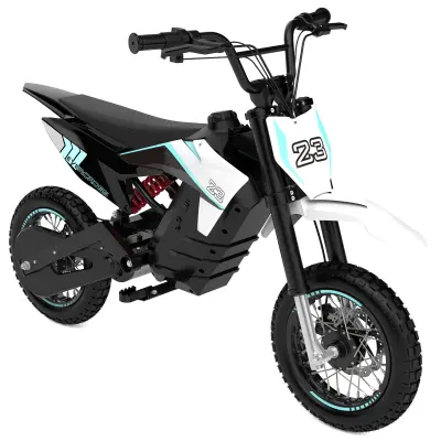 EV65M električni motor za najstnike belo moder