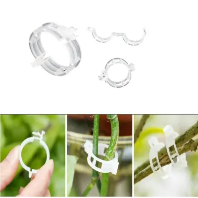 Podporne spone za rastline - 100 pak Transparent