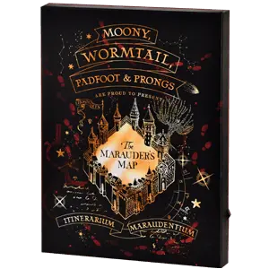 Svetlobno platno 30x40cm Harry Potter: Mapor Map
