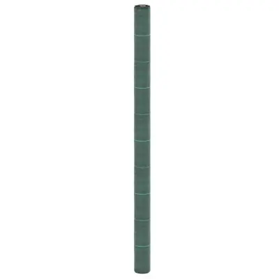 vidaXL Membrana proti plevelu zelena 2x100 m PP