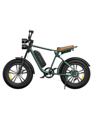 Engwe M20 Električno kolo za odrasle 750 W 48 V 13 Ah s polnim vzmetenjem Fat Ebike - zeleno