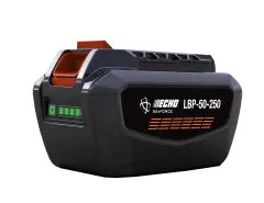 Baterija LBP-50-250 (4Ah)