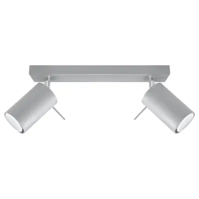 Stropna svetilka RING 2 siva