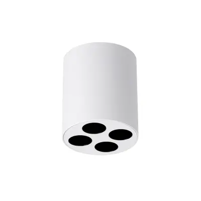 Stropna svetilka ZOE bela LED