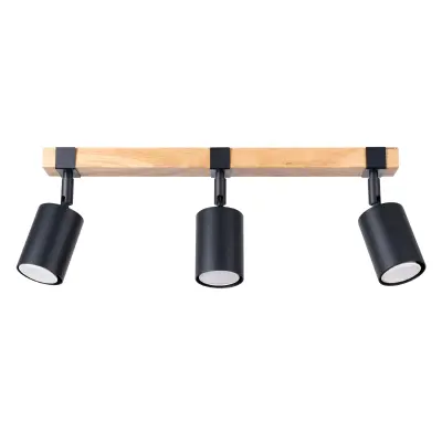 Stropna svetilka FAGER 3 črna