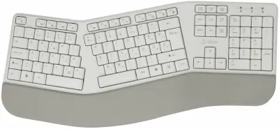 SBOX tipkovnica brezžična ERGO bež SLO WK-905