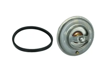 TERMOSTAT DB 75C (S TESNILOM)