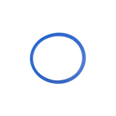 Woson silikonsko tesnilo za avtoklave 2 L