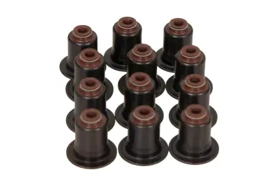 KOMPLET TESNILA VOZILA VENTILA BMW 3/4/5 2.5 3.0B 05-