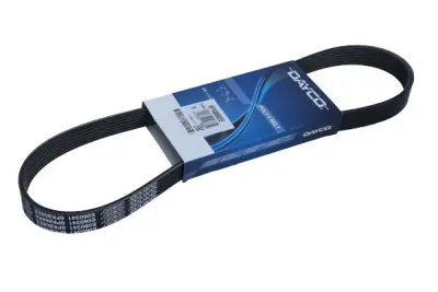 VEČPLETNI PAS 6PK868 ELAST