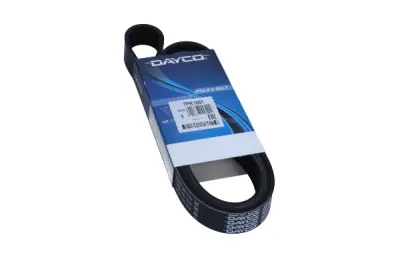 VEČPLETNI PAS 7PK1601