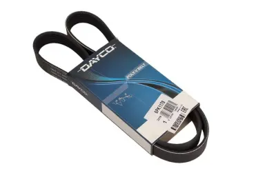 VEČPLETNI PAS 6PK1178