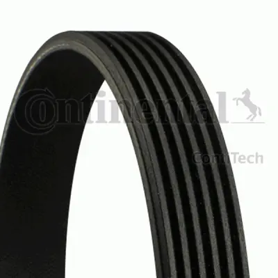VEČPLETNI PAS 6PK1070