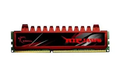 Ram pomnilnik G.Skill Dimm 4Gb Ddr3-1066