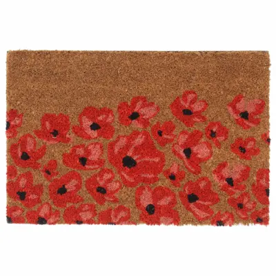 vidaXL Predpražnik naravne barve 40x60 cm kokosova vlakna