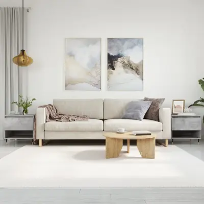The Living Store Klubska mizica 2 kosa betonsko siva 50x46x50 cm inženirski les - Klubska Mizica