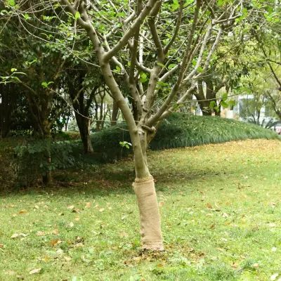 The Living Store Rola iz jute 2 kosa 0,5x50 m 100 % juta 200 g/m² - Rola Iz Jute