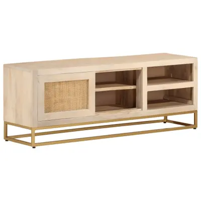 The Living Store TV omarica 110x30x40 cm trden mangov les in železo - TV Omarica