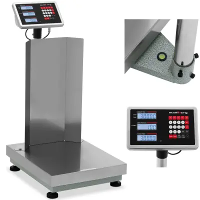 Skladiščna platformna tehtnica z naslonom 40 x 50 cm LCD 300 kg / 0,02 kg