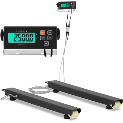 Paletna tehtnica LCD 2500 / 0,5 kg 1000 x 100 mm