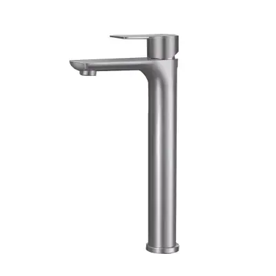 Elegantna in stilska kopalniška pipa iz nerjavečega jekla 304 Silver