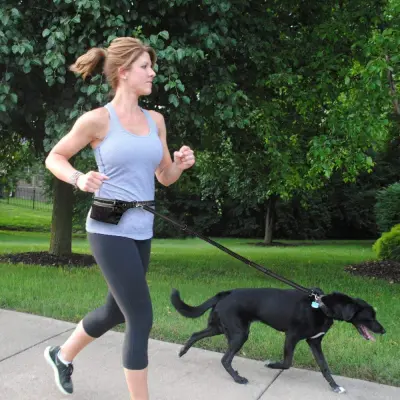 Pasji povodec za prostoročno uporabo s torbico za pas Black