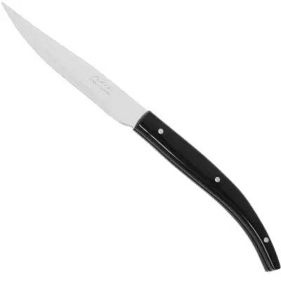 STEAK BASIC nož za pečeno meso dolžine 110/230 mm