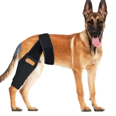 Kolenska opornica za pse za podporo ACL, CCL, MCL   M