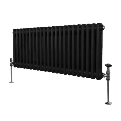 Tradicionalni radiator z 2 stolpcema - 300 x 1012 mm - črn