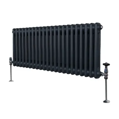 Tradicionalni radiator z 2 stolpcema - 300 x 1012 mm - antracitno siva