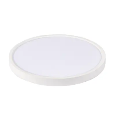 LED stropna svetilka SR20002-CCT 24W IP44 - Bela