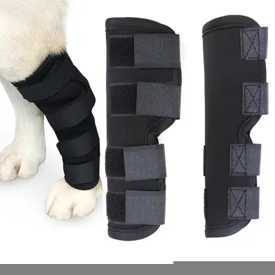 Dihajoče opornice za noge za pse - podpirajo sprednjo križno vez  L