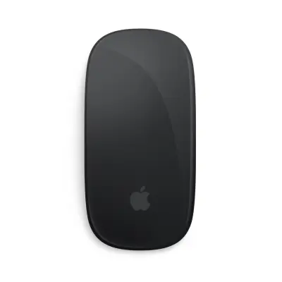Apple Magic Mouse - Black Multi-Touch Surface