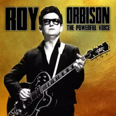 ORBISON R. - LP/THE POWERFUL VOICE