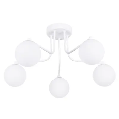 Lestenec ASTRAL 5 beli