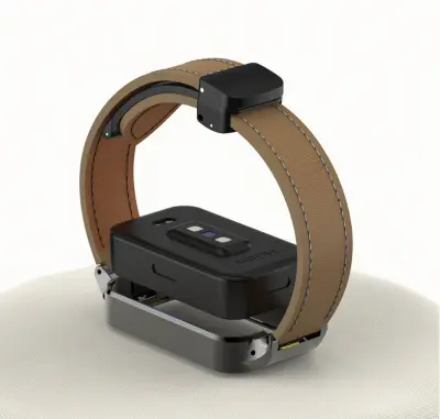 Redmi Band 3 z magnetnim zložljivim kovinskim okvirjem coffee