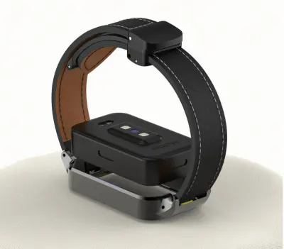 Redmi Band 3 z magnetnim zložljivim kovinskim okvirjem Black