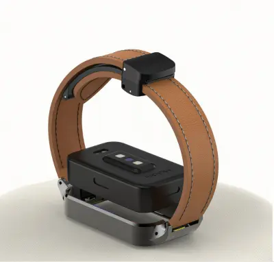 Redmi Band 3 z magnetnim zložljivim kovinskim okvirjem Brown