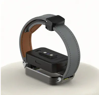 Redmi Band 3 z magnetnim zložljivim kovinskim okvirjem Grey